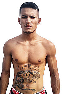 Jardel Vieira