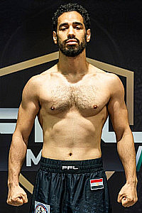Hasham Elnamer