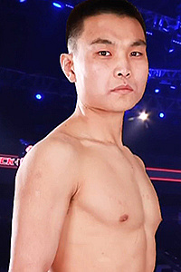 Guoqi Chu