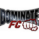Dominate Fighting Championship logo