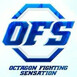 Octagon Fighting Sensation