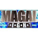 Magal Fight logo