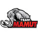 Desafio Fighting Championship logo