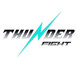Thunder Fight logo
