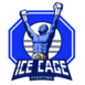 Ice Cage Fighting logo