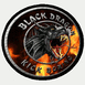 Black Dragon (Sao Pedro da Aldeia )