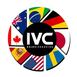 International Vale Tudo Championship