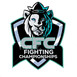 Cage Fighting Championships