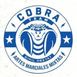 Cobra Fighter logo