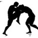 Rocky Mountain MMA logo