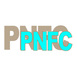 Power Nation Fighting Championship