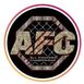 All Fighters Championship