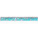 Combat Challenge Serbia logo