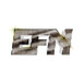 Euro Fight Night logo