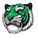 Jungle Strike Championship logo