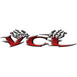 Vehshi Championship League