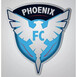 Phoenix Fighting Challenge logo