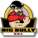 Big Bully MMA logo